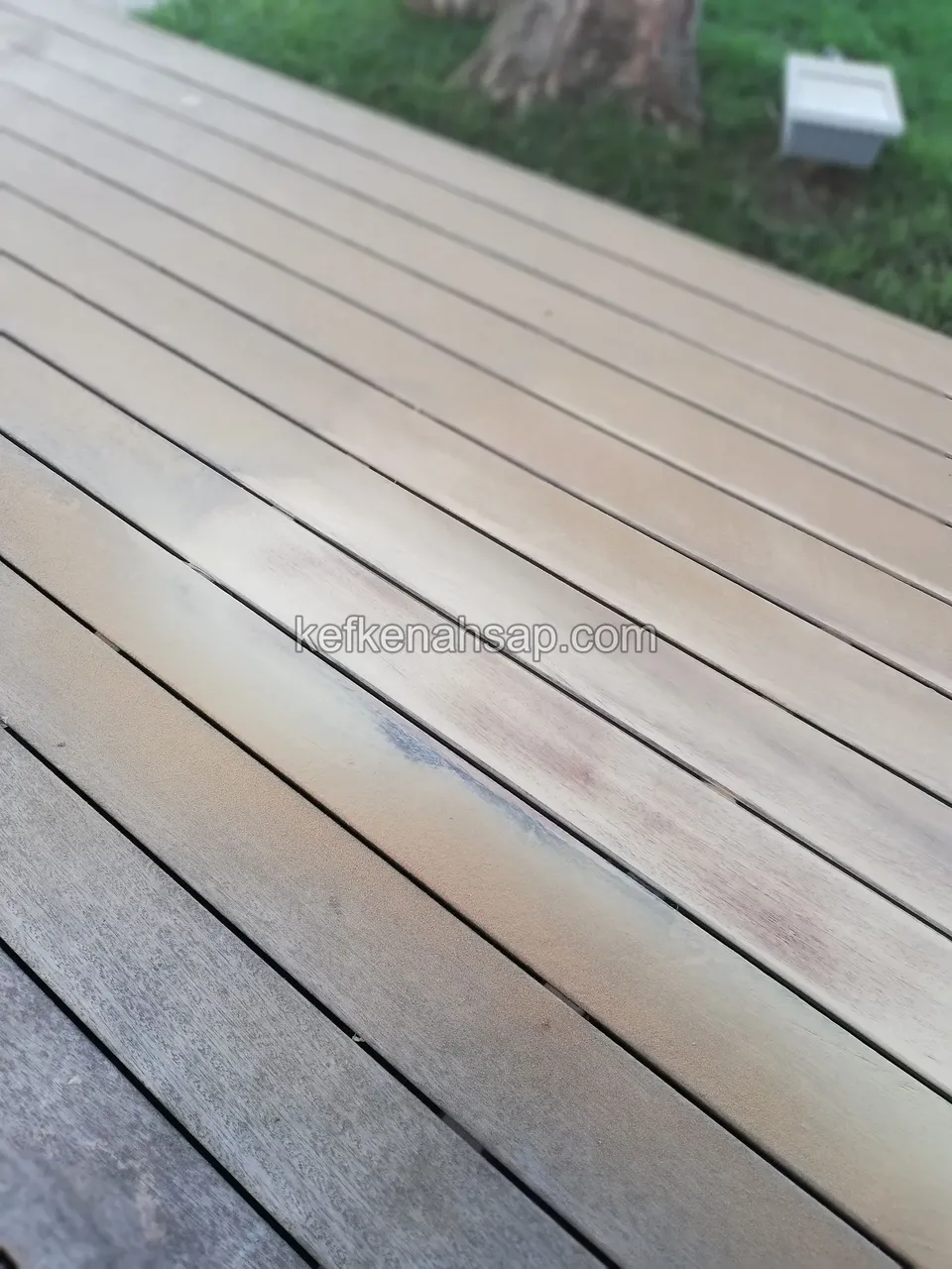 Schräge Nahaufnahme heller Holzterrassendielen, dahinter Rasen und ein Kasten