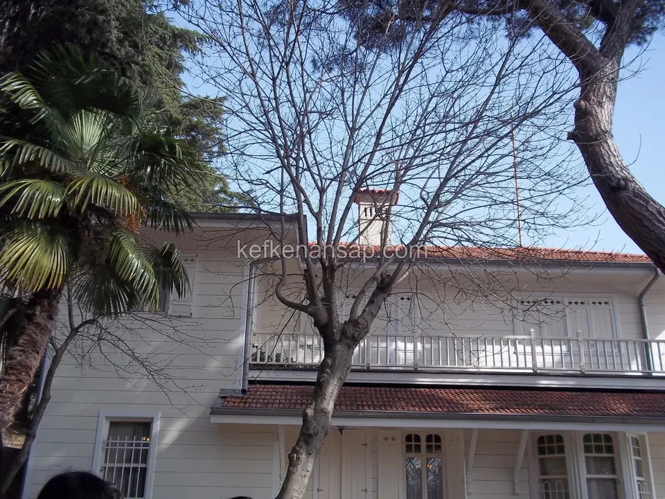 Çıplak bir ağacın ve palmiyenin arkasında, beyaz boyalı ahşap kaplamalı yapının uzun balkon korkuluğu