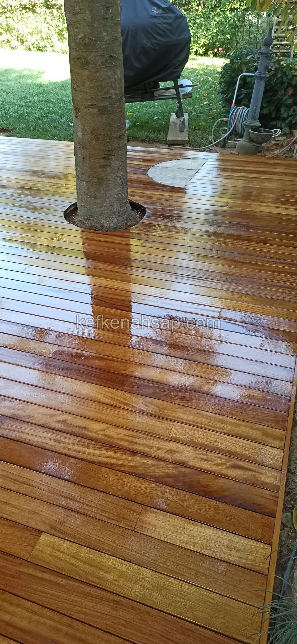 Glossy wet varnished orange-brown deck surface around a tree
