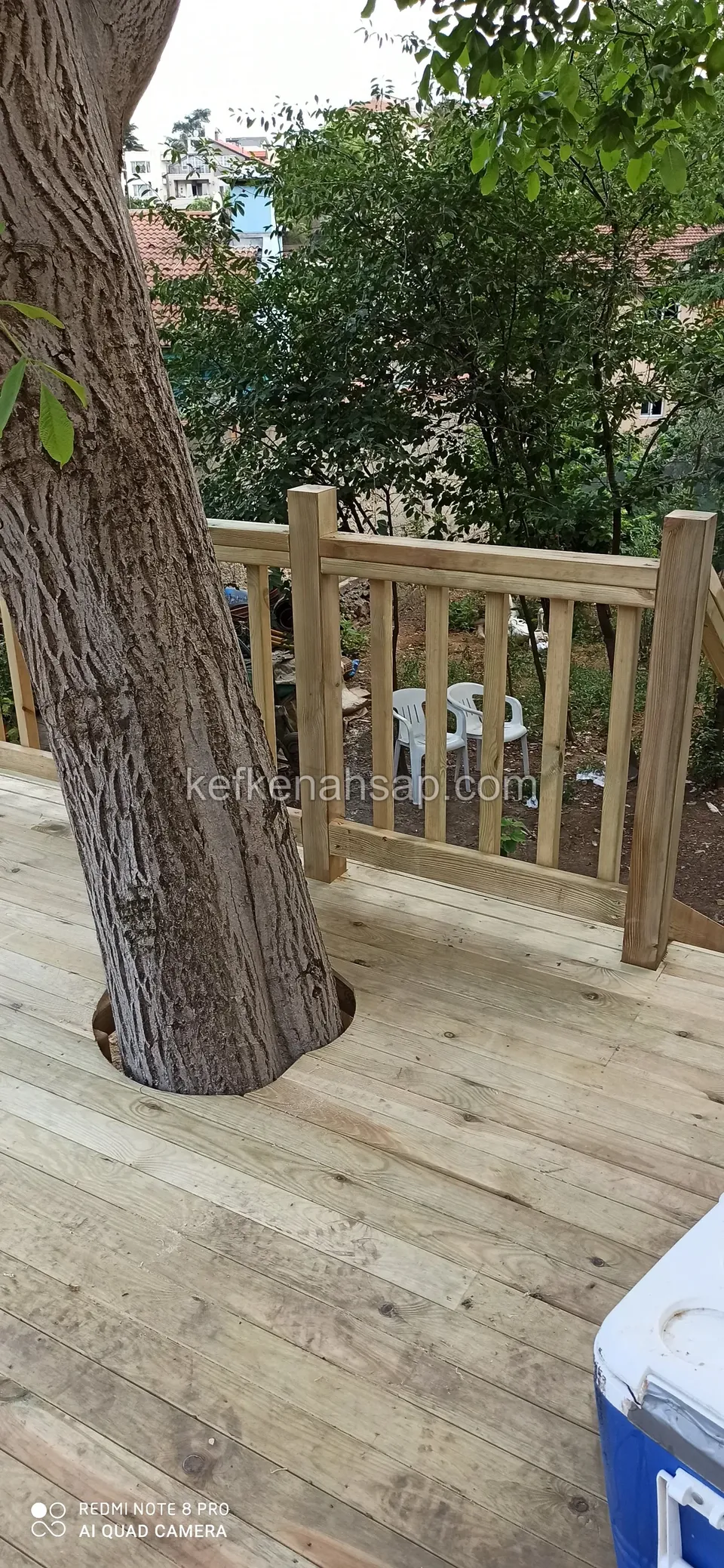 Pale pine deck laid around a tree trunk with a slatted railing, and a blue cool box in the corner