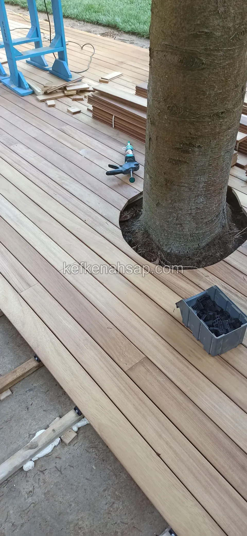 Pale deck laid round a tree trunk with a tool and a plastic tub on it