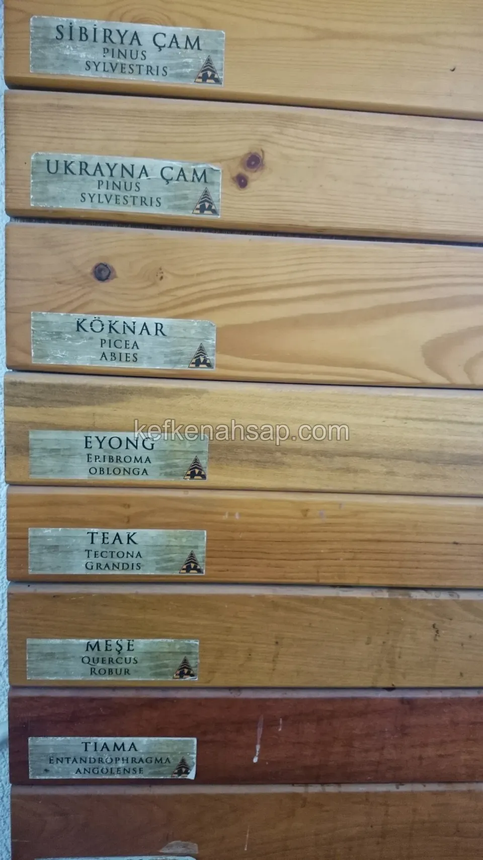 Übereinander angeordnete Bretter, jedes mit einem Schild, das eine Holzart wie Kiefer, Tanne, Teak oder Eiche nennt