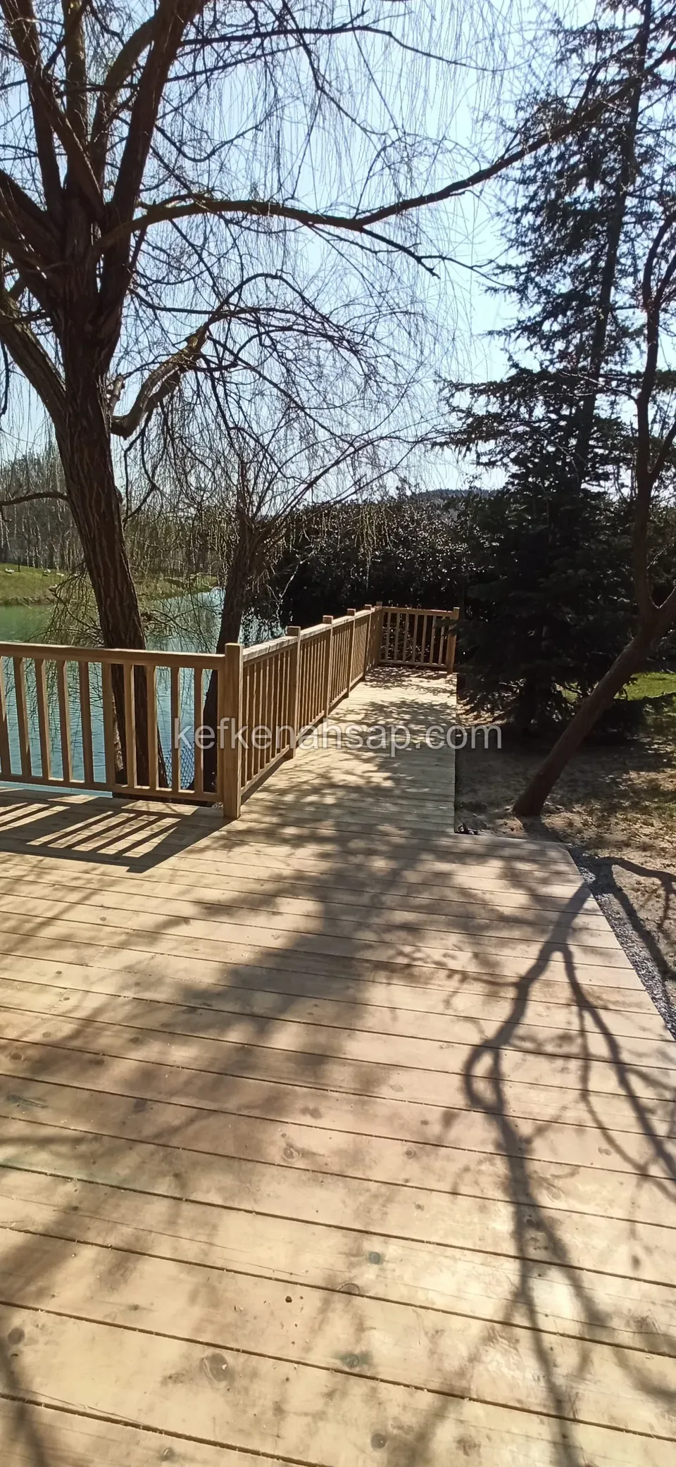 Pale deck among trees at the lakeside with a railing along its left edge