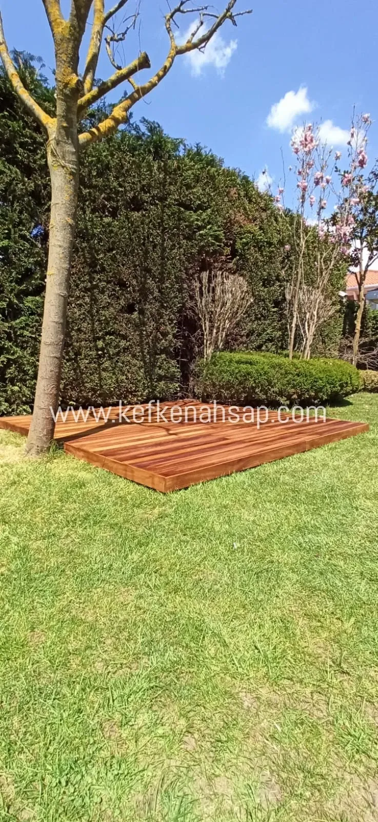 Çimlerin üzerinde, bir ağacın yanında duran kızıl kahverengi ahşap deck platform; arkada yeşil çit ve çiçek açmış manolya