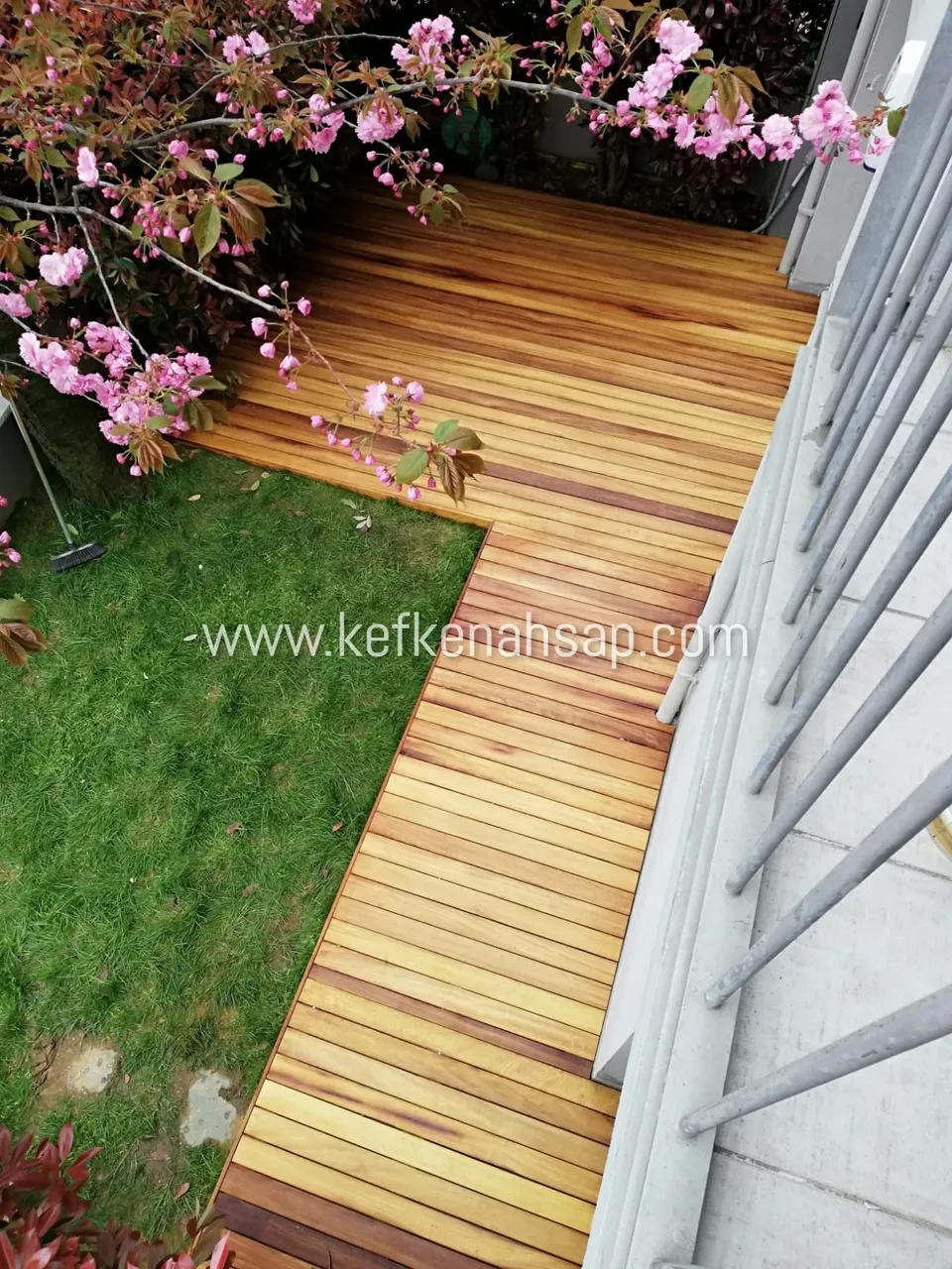 Çimenlik bahçede açık kahverengi ahşap deck yolu, yanında çiçek açmış pembe bir ağaç dalı ve gri korkuluklar