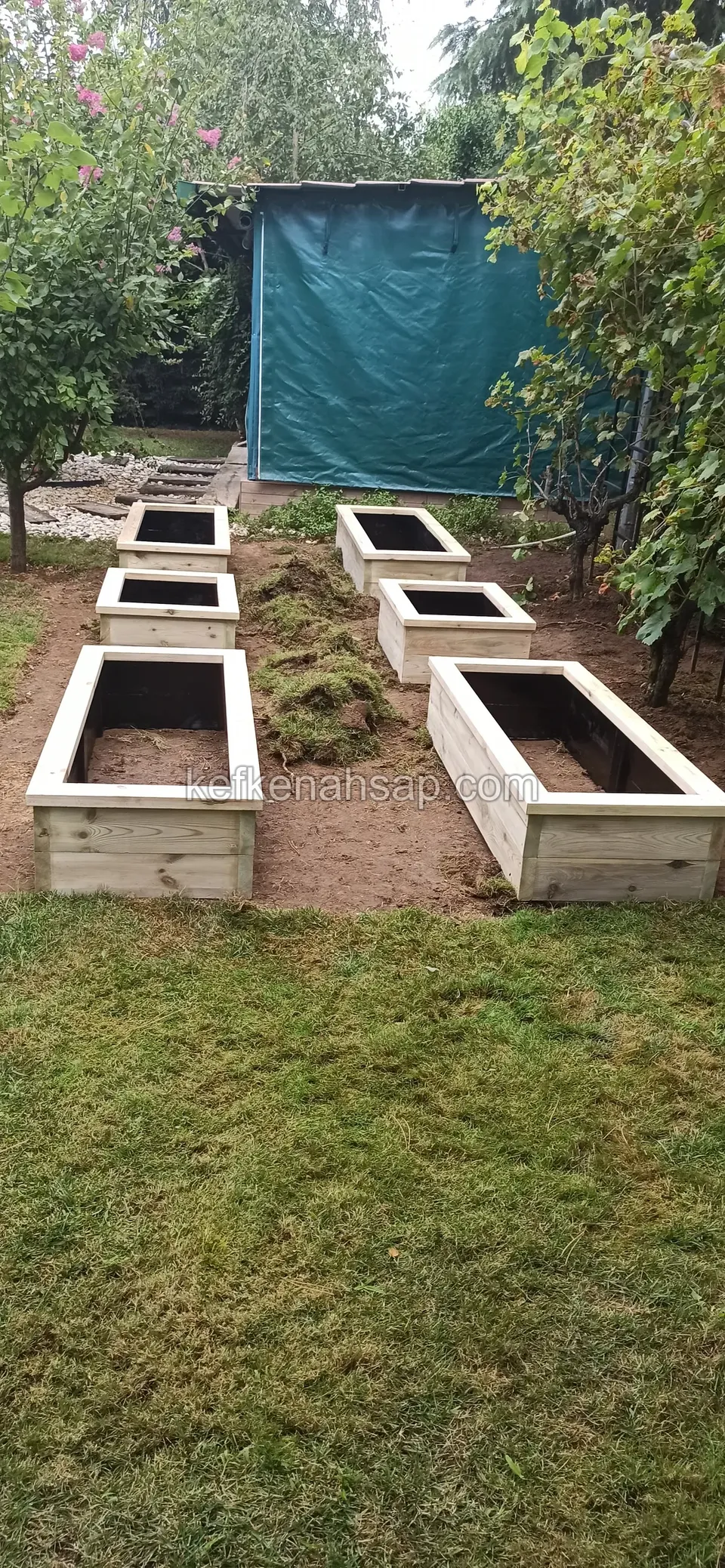 Many light low timber planters set row by row into the soil of a garden