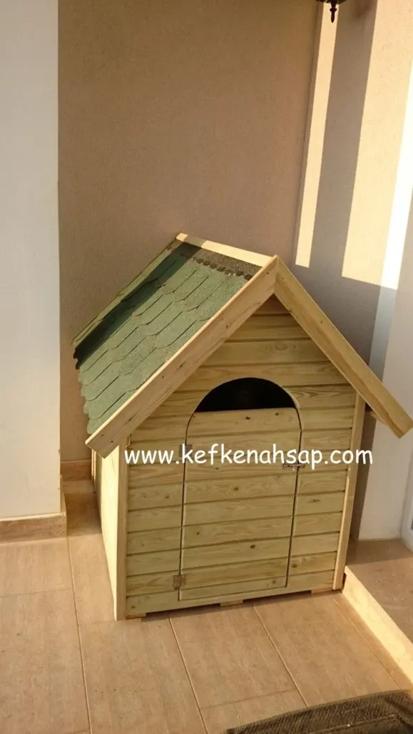 Balkonda duran, yeşil shingle çatılı ve kemerli girişli açık renkli ahşap köpek kulübesi