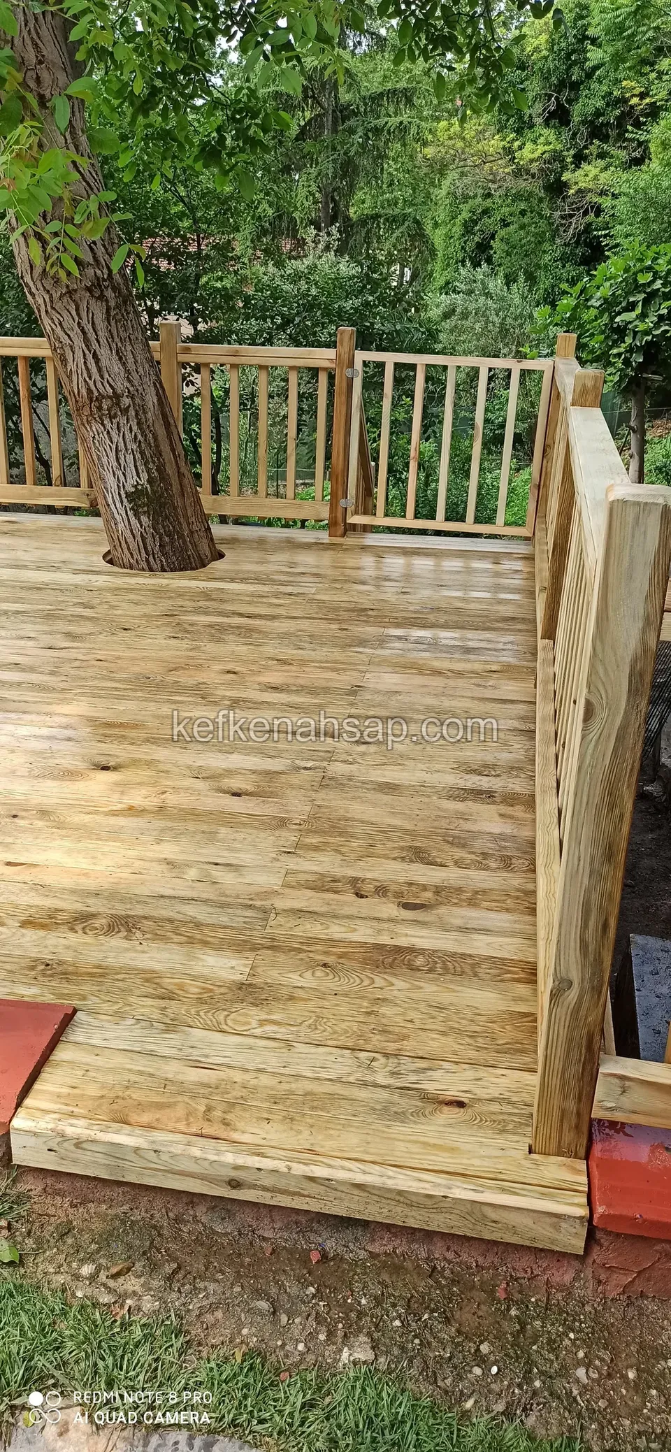 Deck mit durchwachsendem Baumstamm, Lattengeländer und einer gestuften Zugangskante an der Seite
