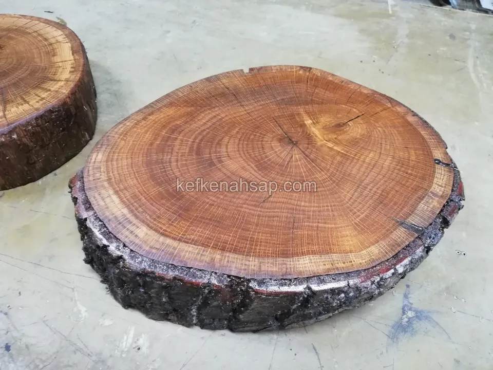 Round slice of a tree trunk with its bark on, standing on a concrete floor, with the growth rings clear