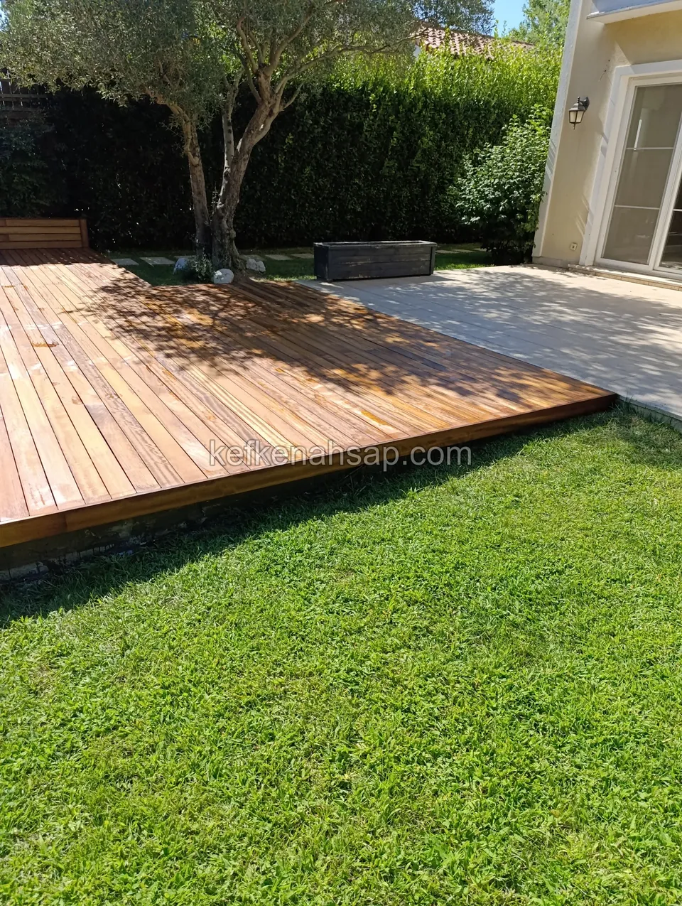 Orange-brown deck at the edge of a lawn, running from under an olive tree to a concrete path and the entrance of a building