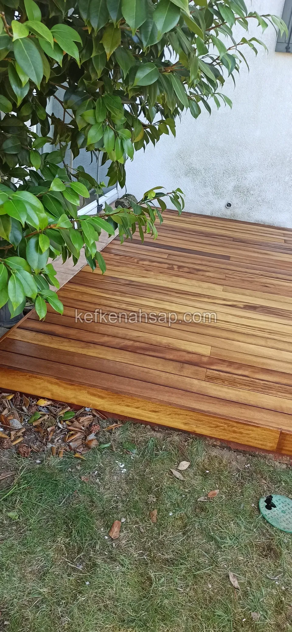 Red-brown deck corner under a leafy plant, beside the lawn and a white wall