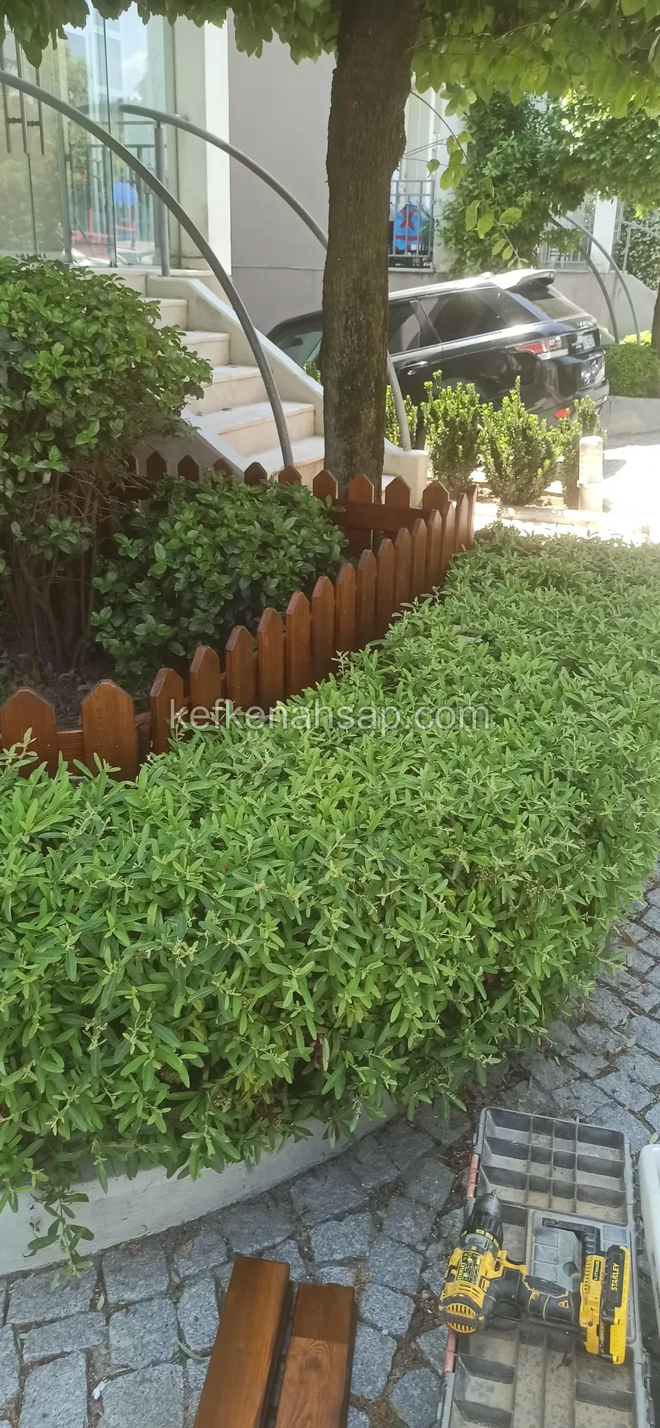 سياج قصير من الألواح بلون العسل برؤوس مستديرة حول حوض شجيرات خضراء، وعلى الأرض مثقاب وخشب