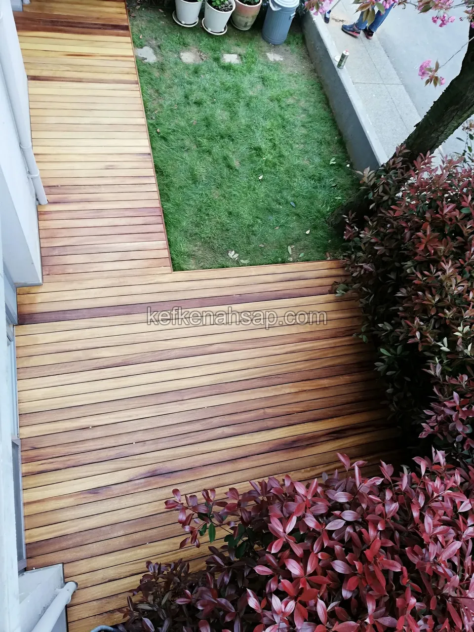 Küçük çimen alanını çevreleyen L biçimli ahşap deck; kenarda kırmızı yapraklı bitkiler