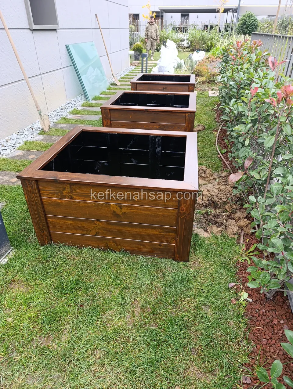 Square timber planters lined up one behind another beside a lawn path, with red-leaved shrubs next to them
