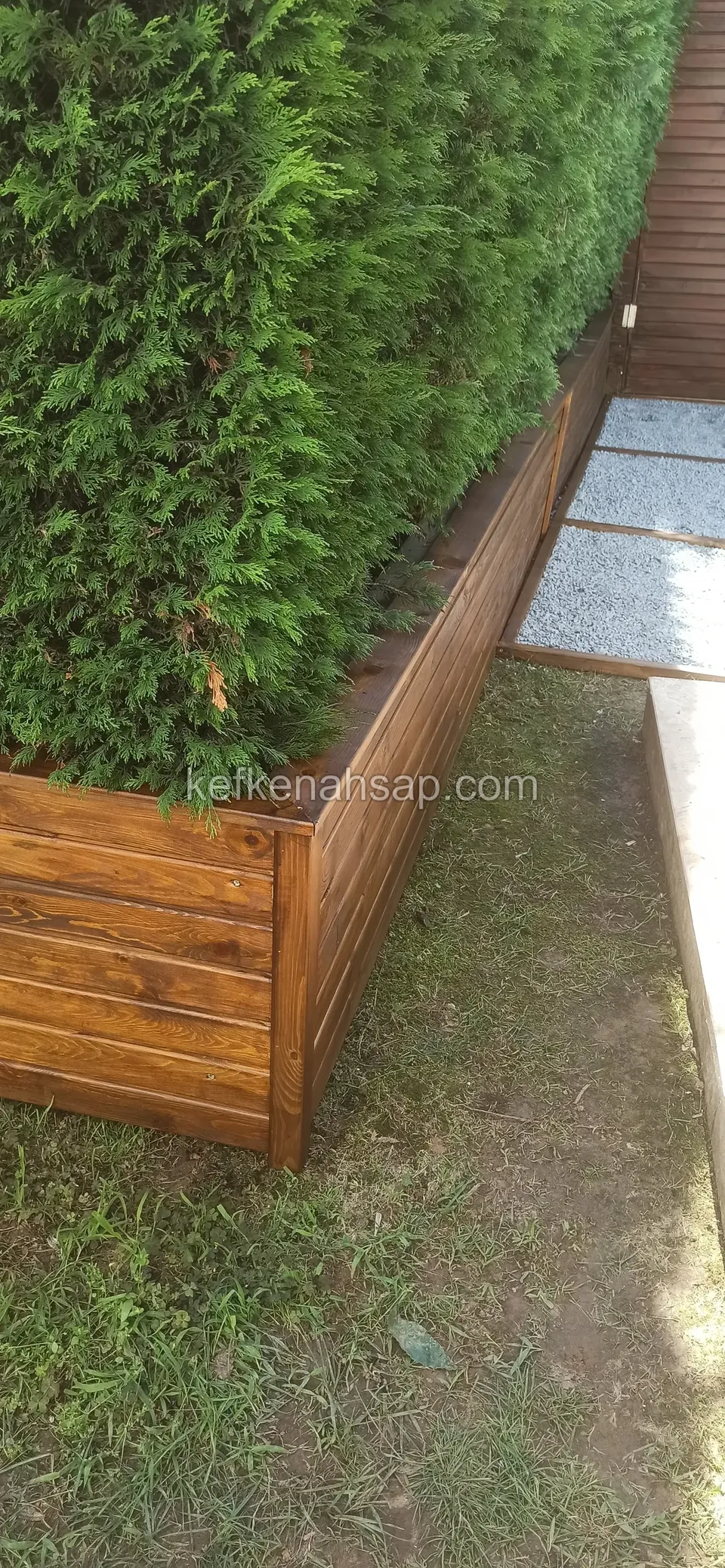 Varnished horizontal-board timber planter with cypress trees growing in it beside a lawn