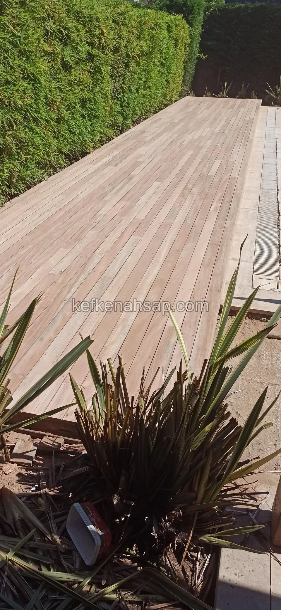 ديكينغ خشبي بدرجة وردية يمتد بجانب نبتة أمام سياج وبمحاذاة حافة مسبح