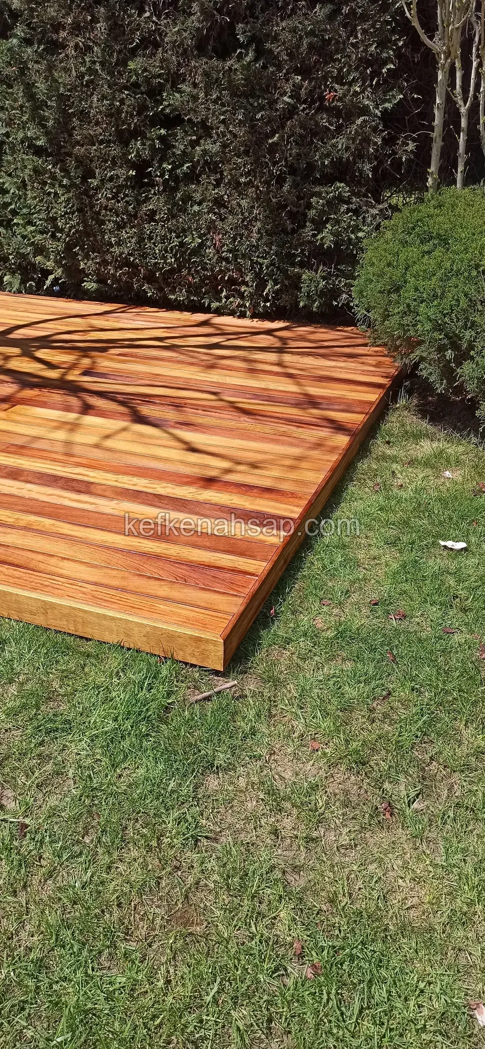 Bright orange varnished timber deck corner next to the lawn in front of a hedge