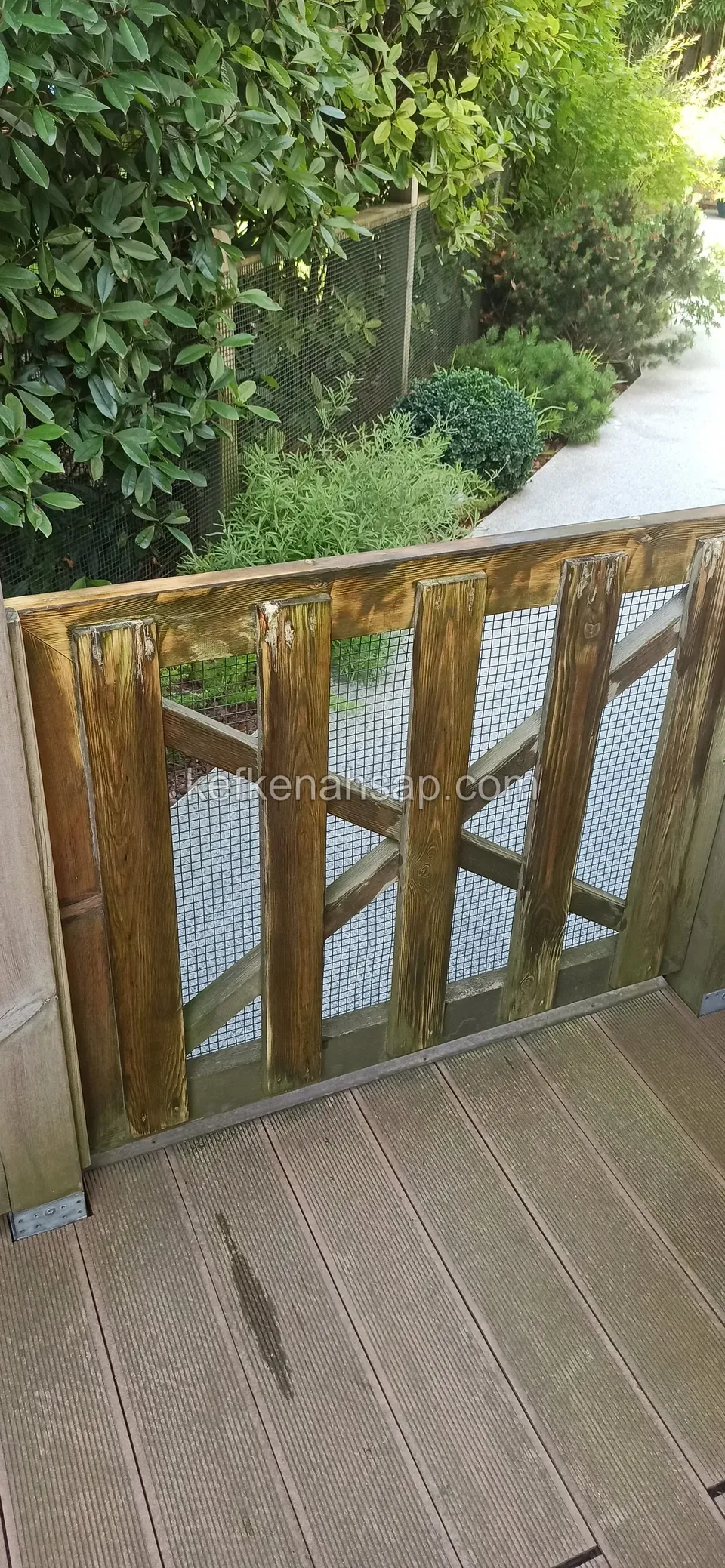 Gri deck zemin üzerinde, içi tel örgülü çapraz çıtalı koyu ahşap kapı, arkada çalılar