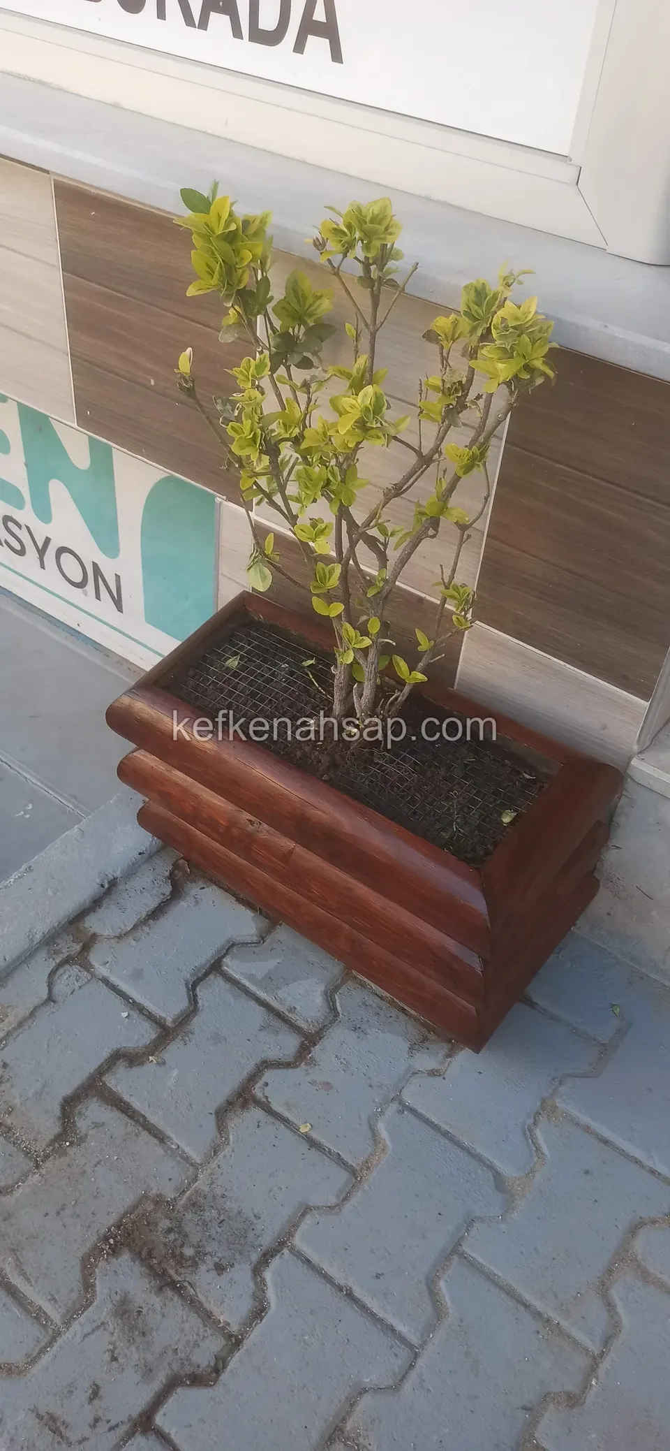 Varnished timber planter with stepped-profile sides standing on paving at a shop entrance