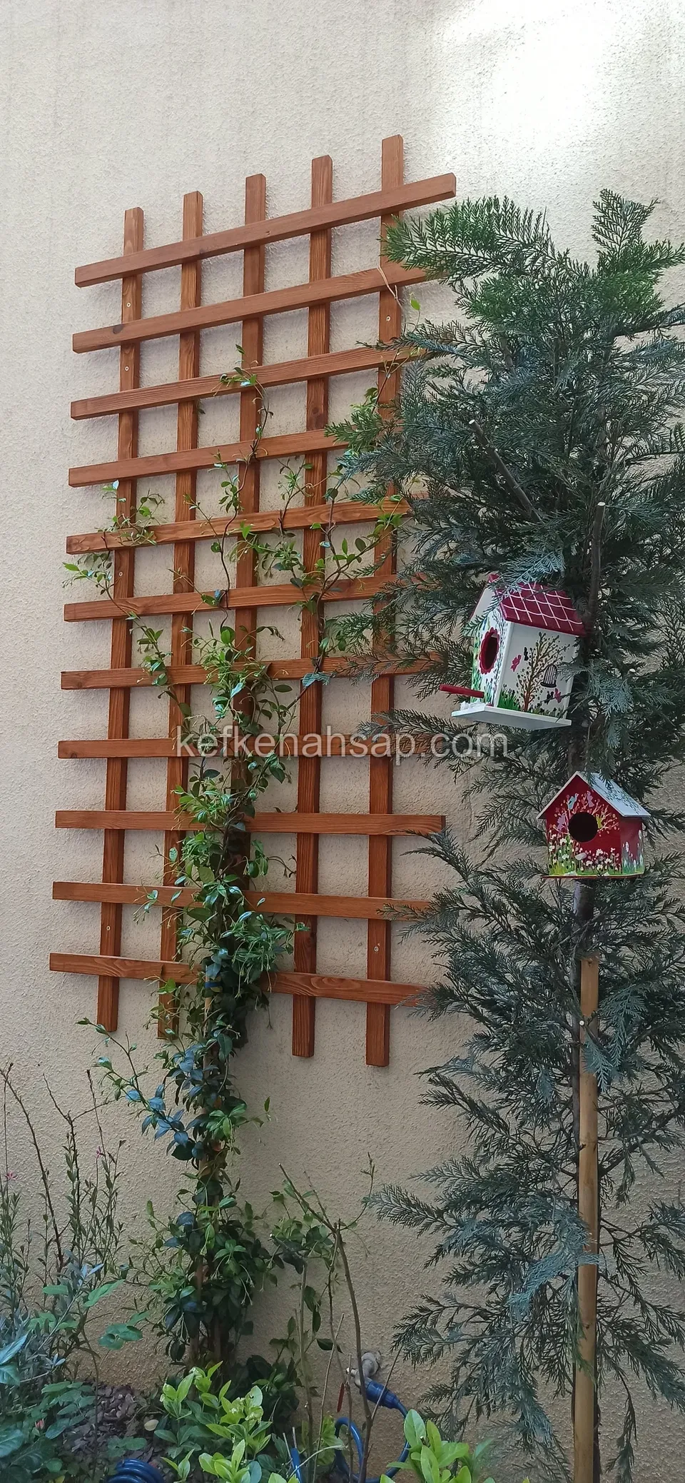 Düz duvara monte edilmiş kare gözlü ahşap tırmanma çıtasına sarılan sarmaşık