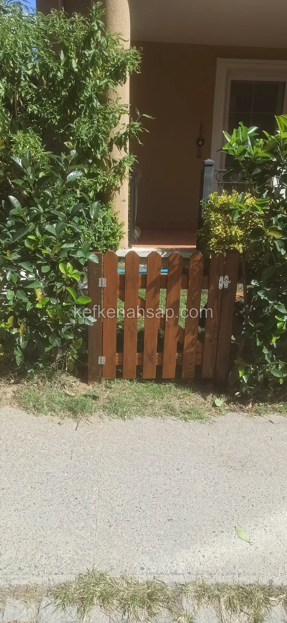 Evin giriş basamağı önünde yeşil çalılar arasında duran, kahverengi cilalı alçak çıtalı kapı