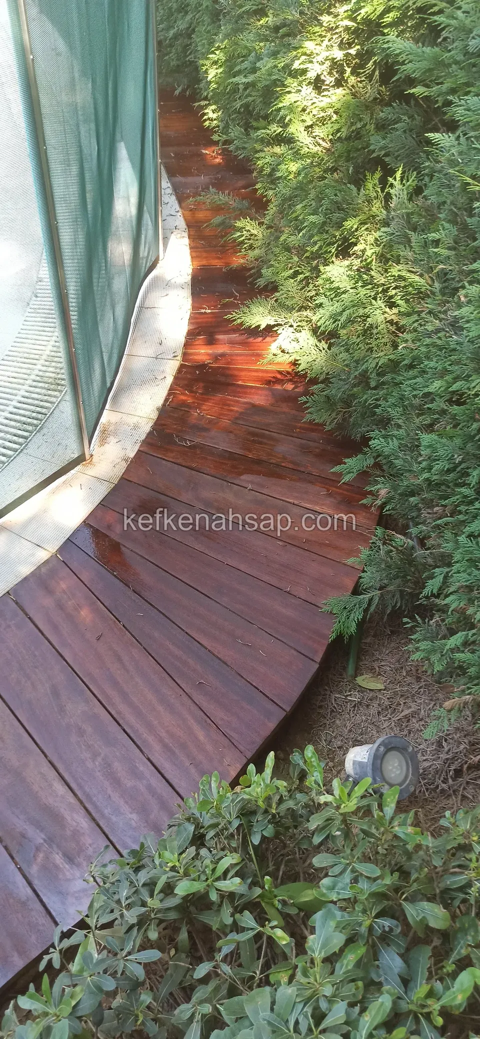 Havuz çevresinde bitkiler arasında kıvrılan parlak kırmızı kahverengi deck yolu, kenarda küçük bir spot