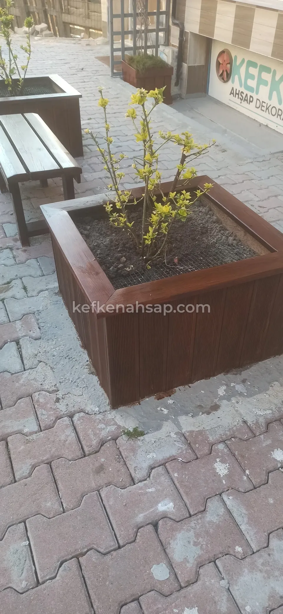 Square timber planter with a plant on the pavement, with a timber bench lined up behind it