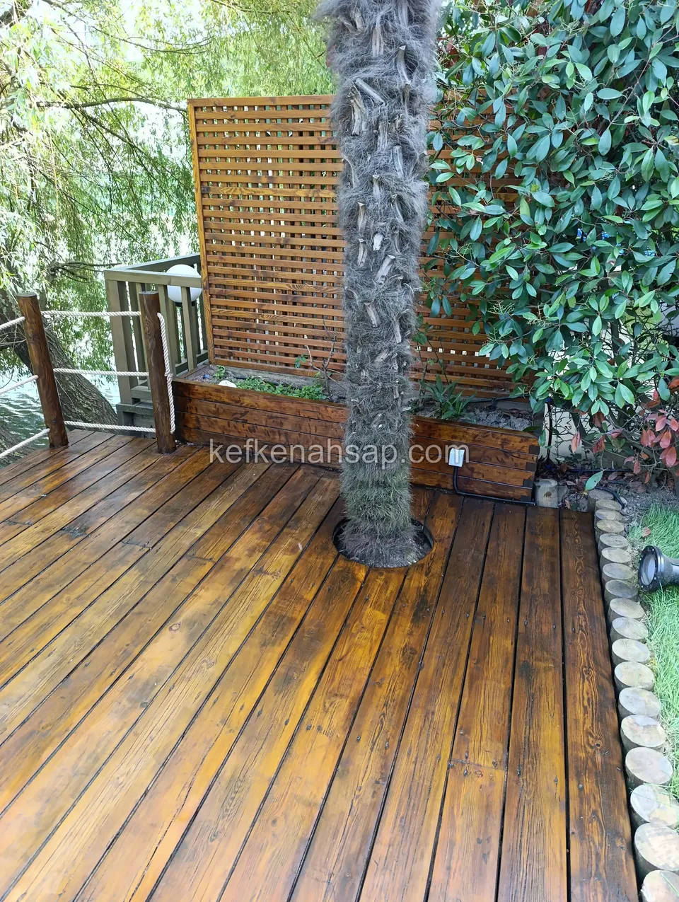 Polished deck with an opening for a palm trunk, a timber planter with a lattice panel behind and a rope railing at the edge