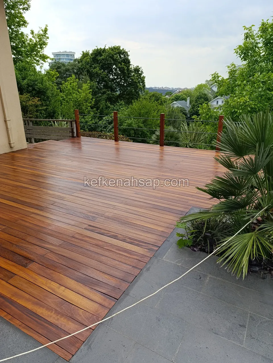 Wide red-brown polished deck beside a palm at the edge of grey stone flooring, with a thin cable railing around it