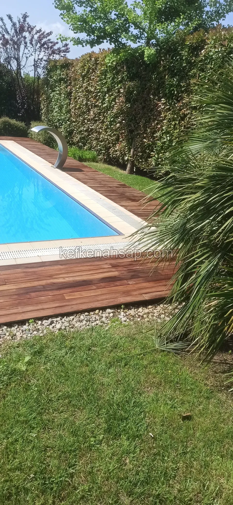 Dark brown deck strip along the pool edge between palm fronds and lawn