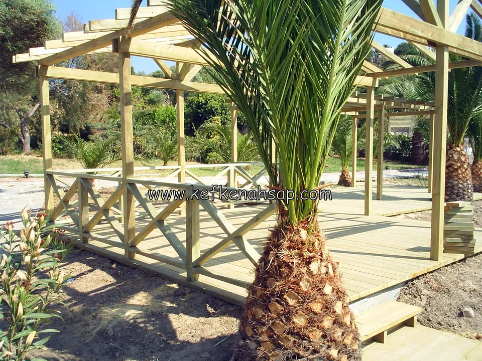 Bir palmiyenin yanında, çapraz korkuluklu ve üstte pergola iskeleti olan alçak deck, ön tarafta basamak
