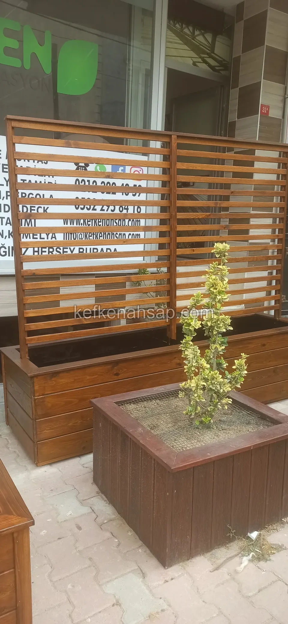 Çıtalı paravanlı uzun ahşap çiçeklik ve önünde alacalı yapraklı bir çalının dikildiği kare ahşap çiçeklik
