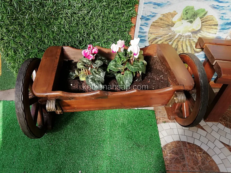 Close-up of a scalloped timber wheelbarrow planter with pink and white cyclamen