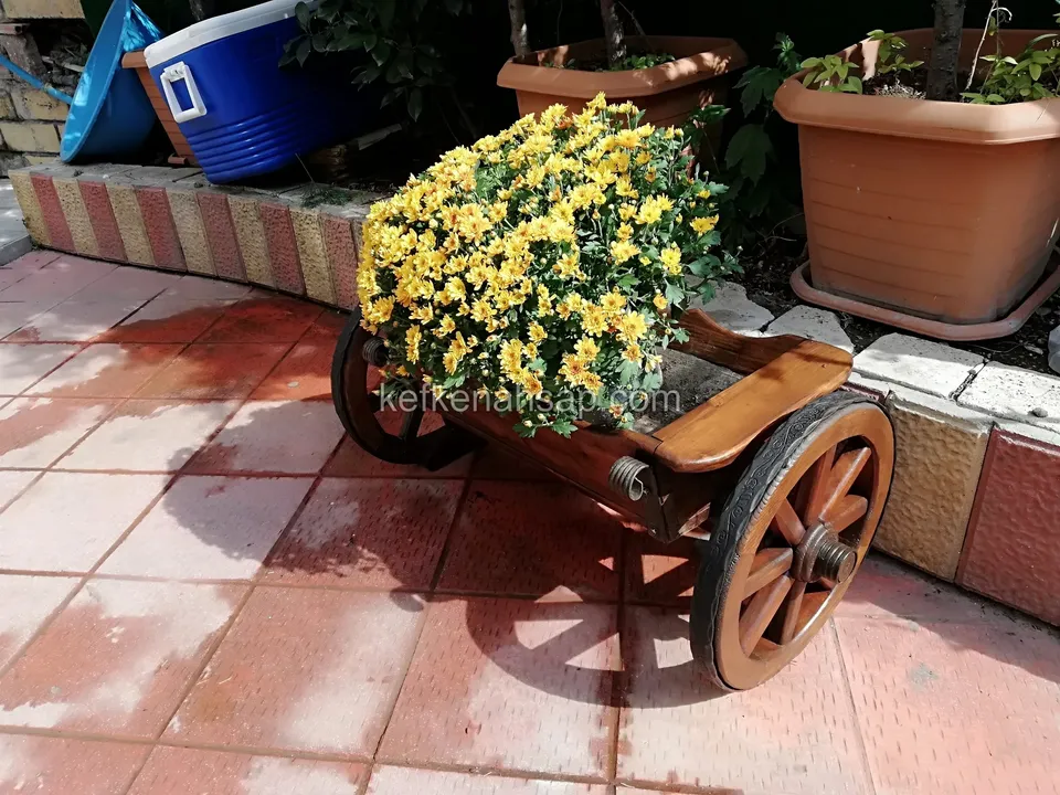 Kırmızı karo zeminde, taş setin önünde duran sarı çiçekli ahşap el arabası çiçeklik