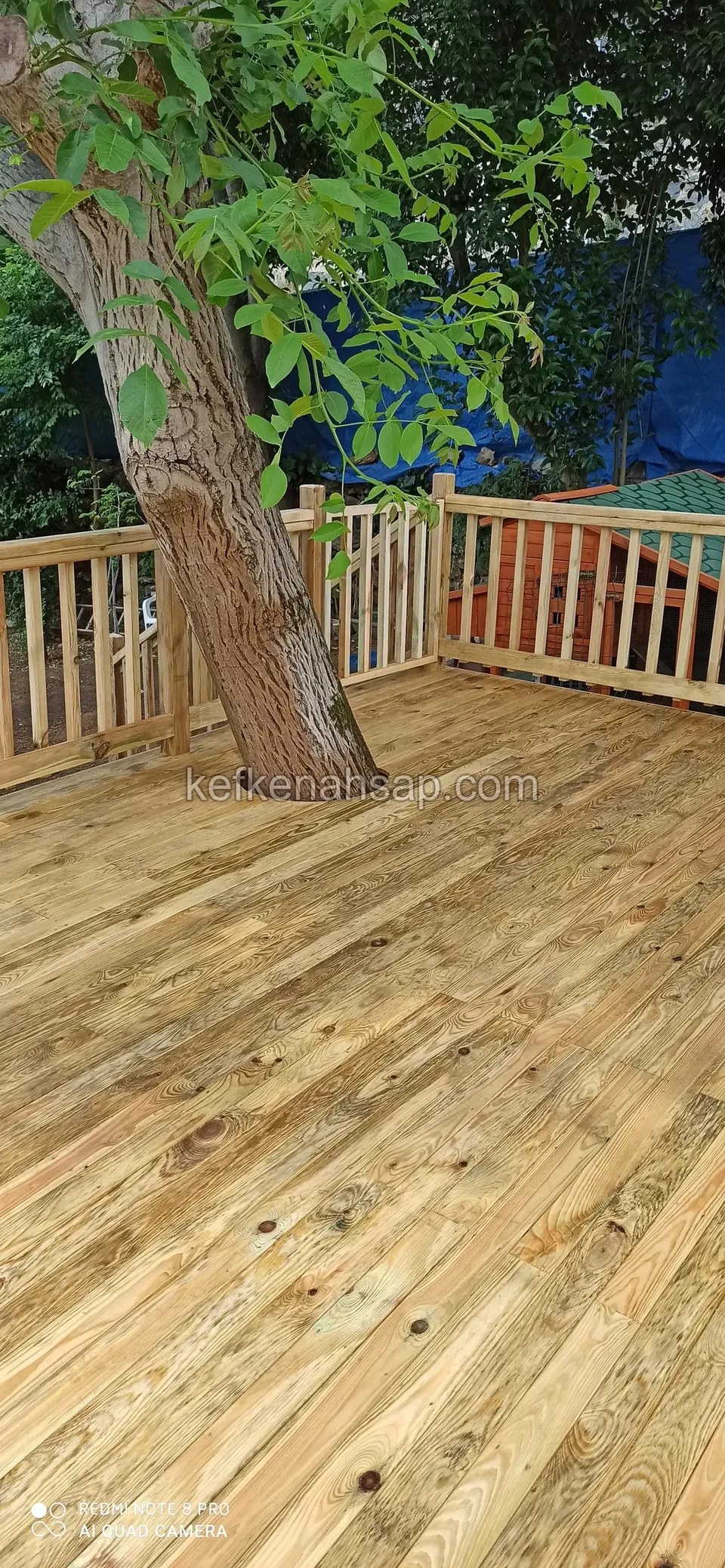 Sarımsı tonlu çam deck, yaprakları deck üstüne sarkan ağaç gövdesi ve çıtalı korkuluk