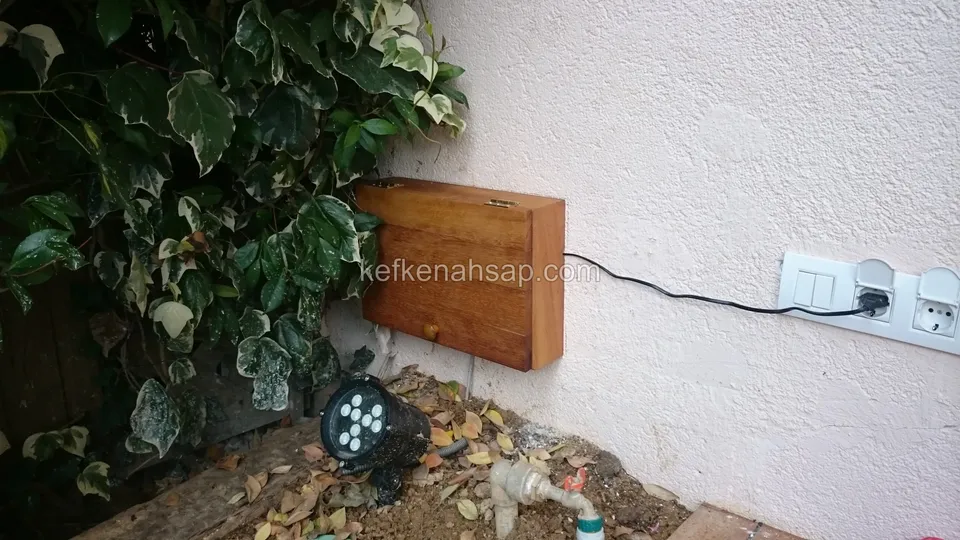 Sıvalı duvarda sarmaşığın yanında, priz ve kabloların bulunduğu noktada küçük ahşap kutu ve yerde bir bahçe spotu
