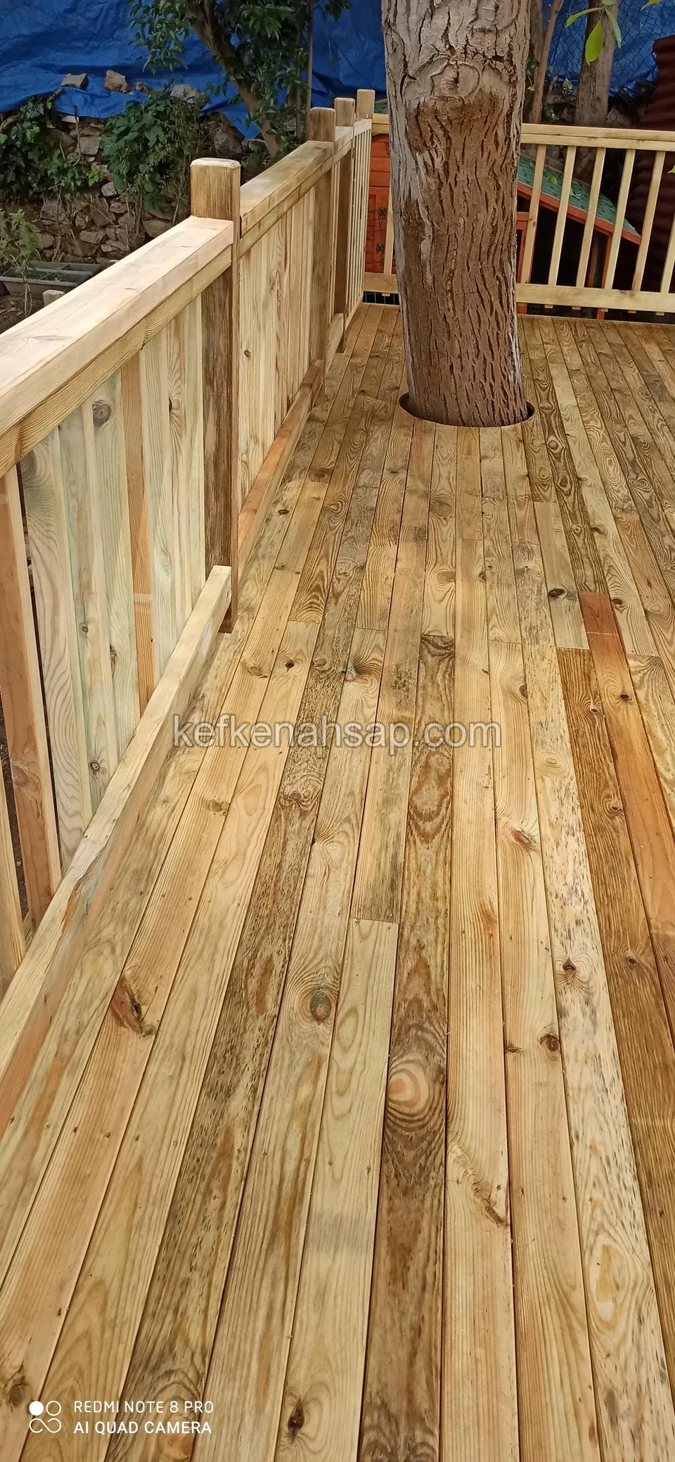 Deck zemininin sol kenarında ahşap korkuluk, ilerde ağaç gövdesi çevresinde bırakılmış boşluk