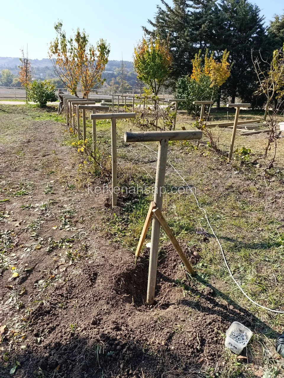 Sonbahar renkli ağaçların arasındaki bahçede toprağa dikilmiş, üstü yatay kirişli T biçimli ince ahşap direkler
