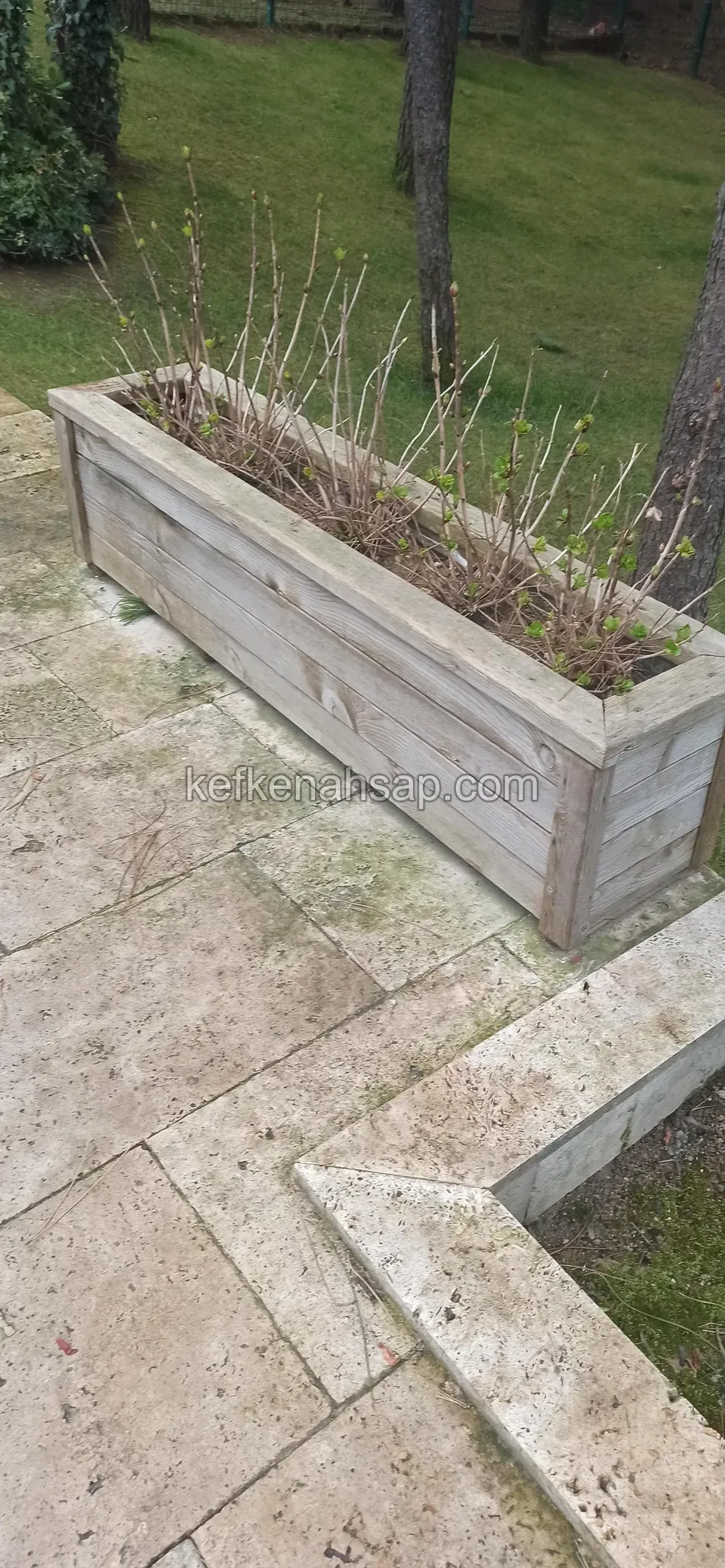 Long timber planter with boards weathered to grey on travertine paving in a garden, dry stems inside