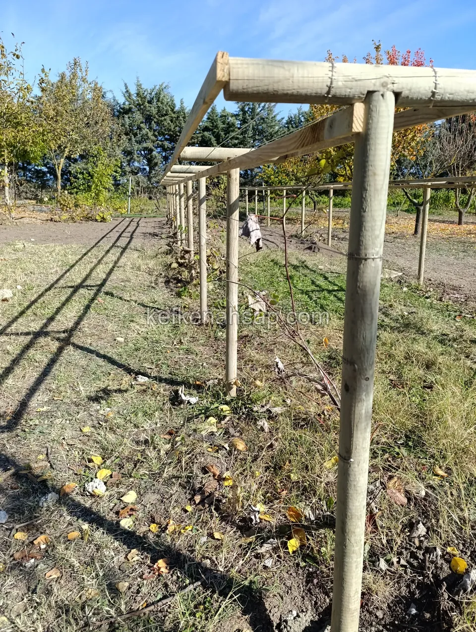 Yuvarlak kesitli açık tonlu bir ahşap direk ve üzerine bağlı yatay kirişler, arkada aynı hatta devam eden direk sırası