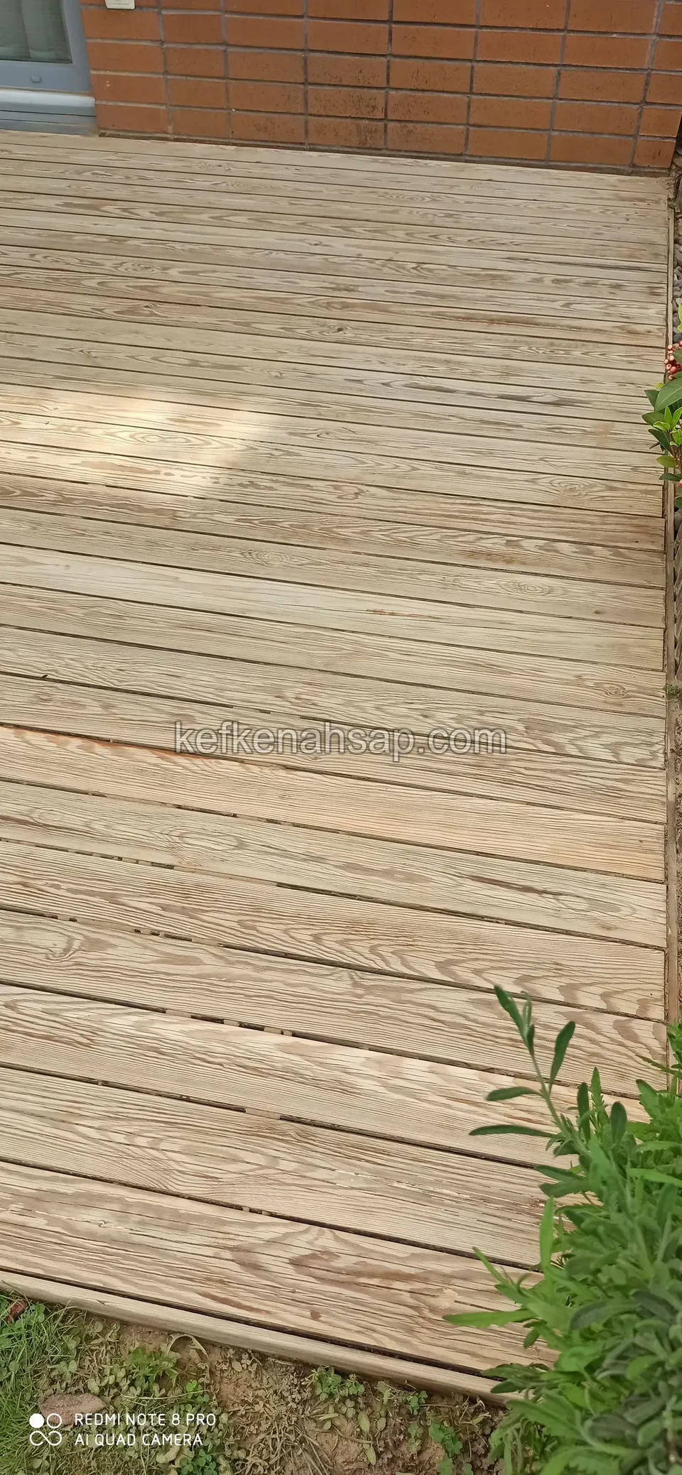 Helle unbehandelte Holzdielen vor einer Backsteinwand, am Rand ein grüner Strauch