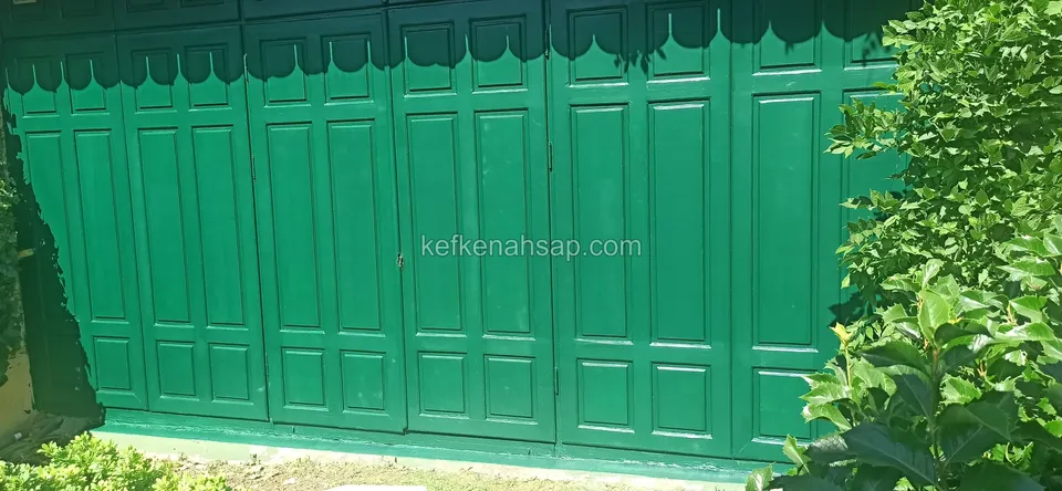 Üst kenarı dilimli saçaklı, yeşile boyanmış kasetli geniş kapı yüzeyi ve yanında çalılar