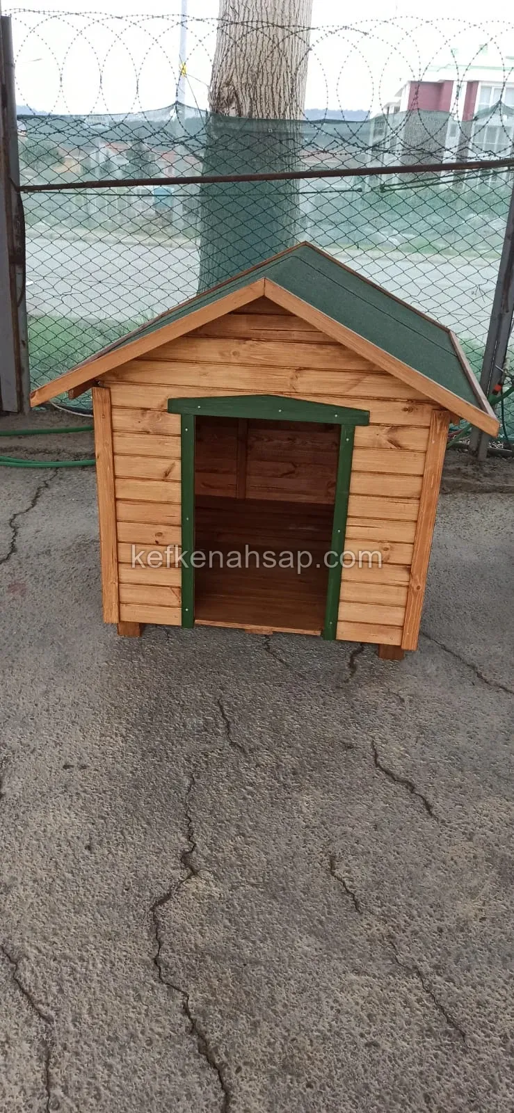 Kırık beton zeminde duran, yeşil çatılı ve yeşil kapı kenarlı, bal rengi vernikli ahşap köpek kulübesi