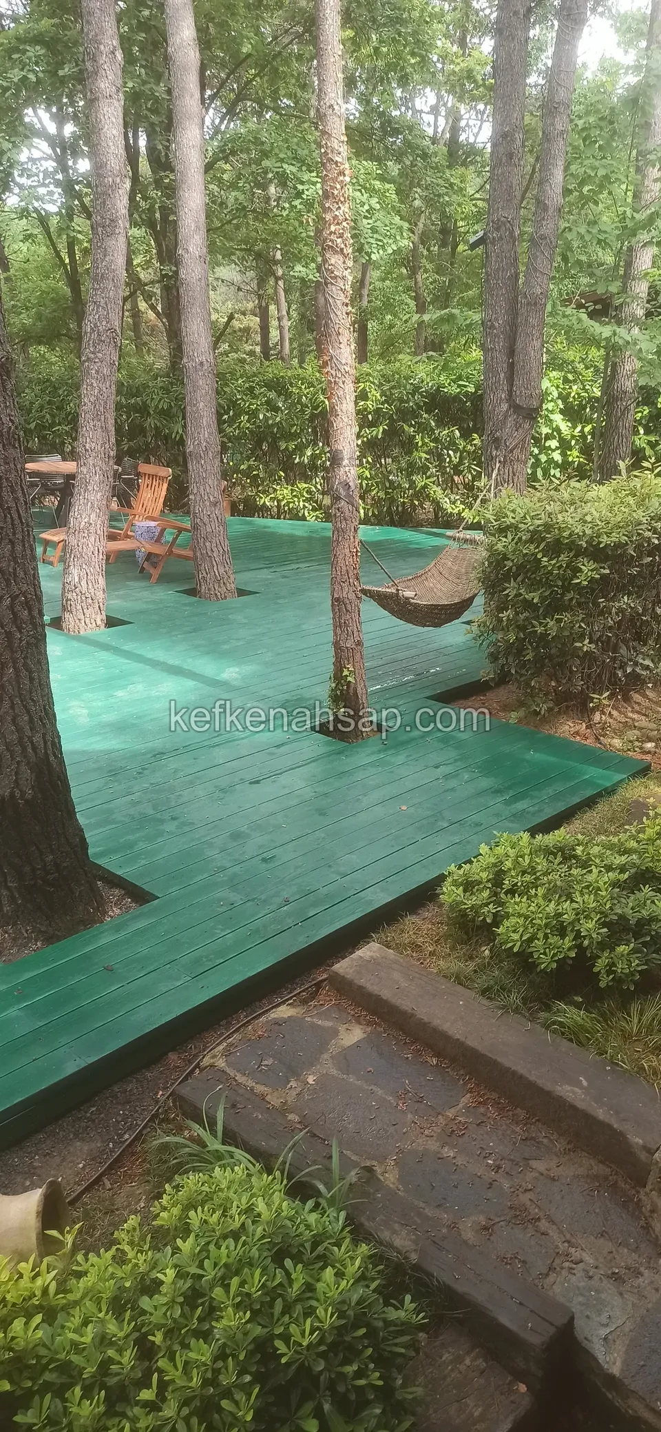 Çam ağaçları ve çalılar arasında yeşile boyanmış deck, kenarında taş basamaklar, arkada asılı bir hamak